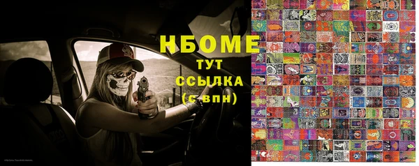 хмурый Арсеньев