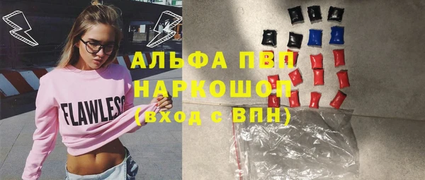 хмурый Арсеньев