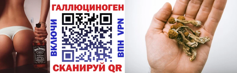 даркнет сайт  Сергач  мега ссылка  Псилоцибиновые грибы Cubensis 